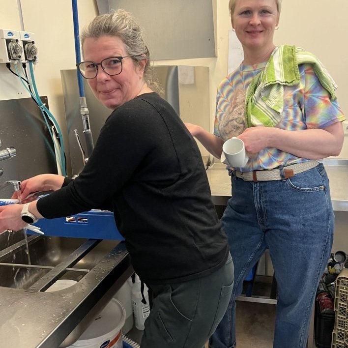 photo-2332023-10-00-04