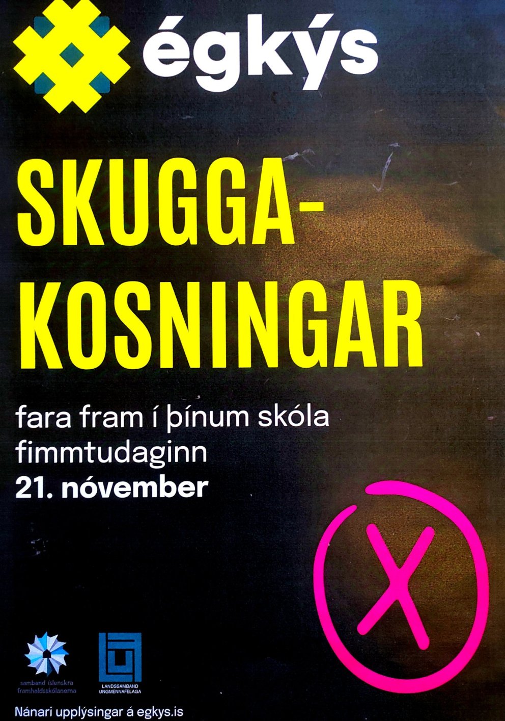 Skuggakosningar á fimmtudaginn