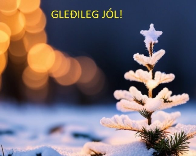 Gleðileg jólin!