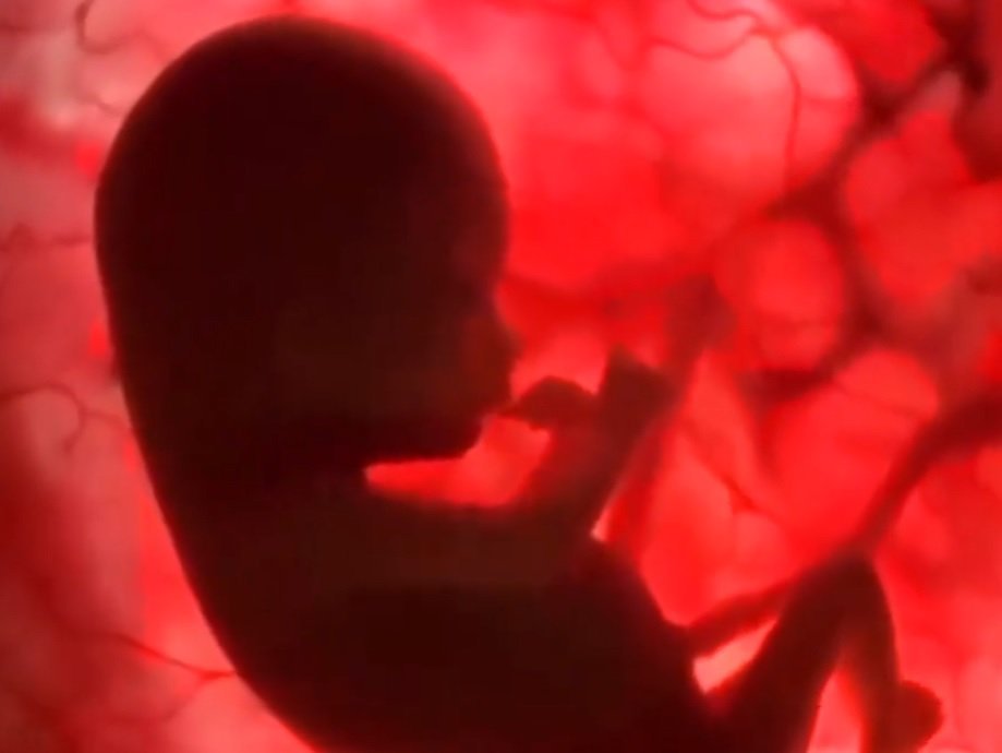 LEG verður söngleikur ársins 2021