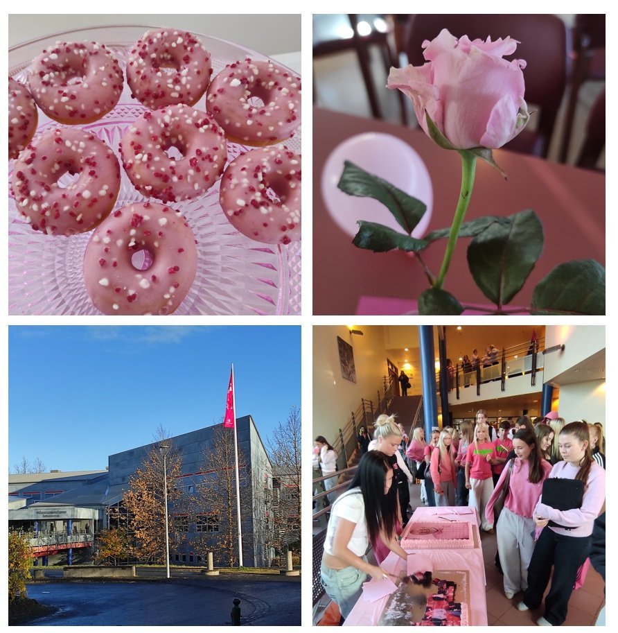 Bleiki dagurinn var haldinn hátíðlegur 21.10.2026
