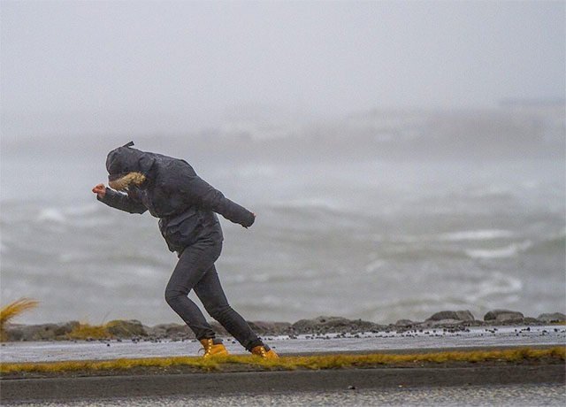 Stormur. Mynd: Vilhelm Gunnarsson, FRBL.