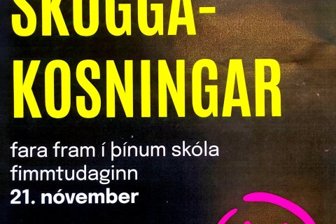 Skuggakosningar á fimmtudaginn