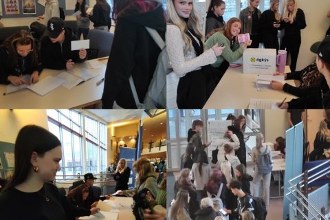 Skuggakosning fór fram í FG 21.nóvember