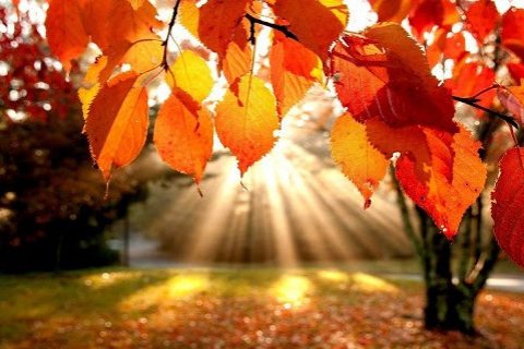 Haustfrí er mánudaginn 14.október.