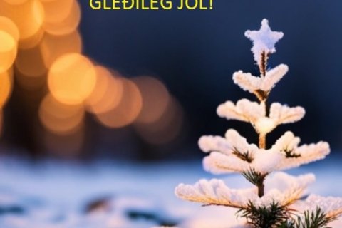 Gleðileg jólin!