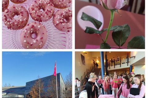 Bleiki dagurinn var haldinn hátíðlegur 21.10.2026